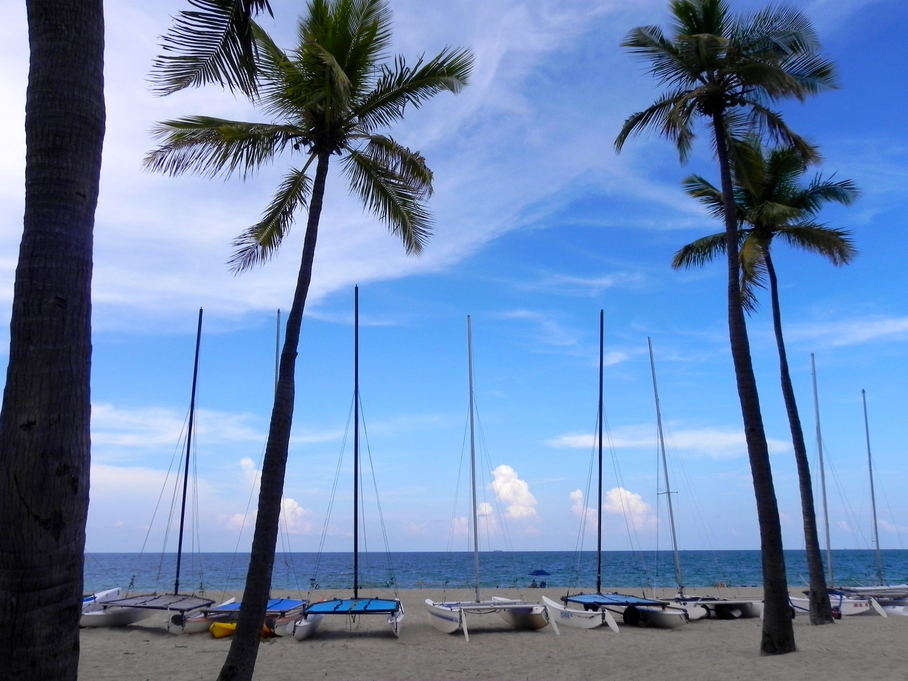blog-miami