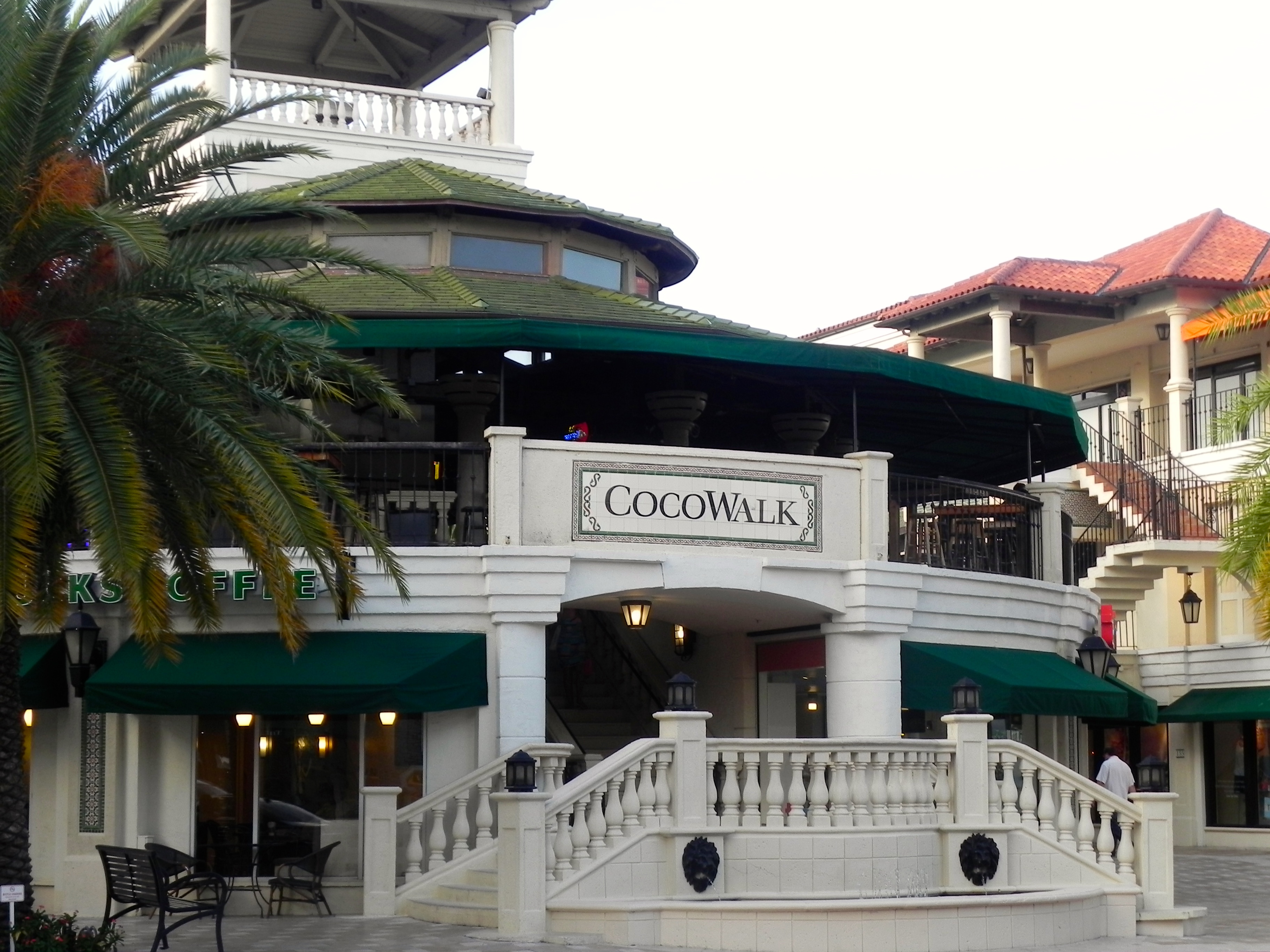 coconut-groove