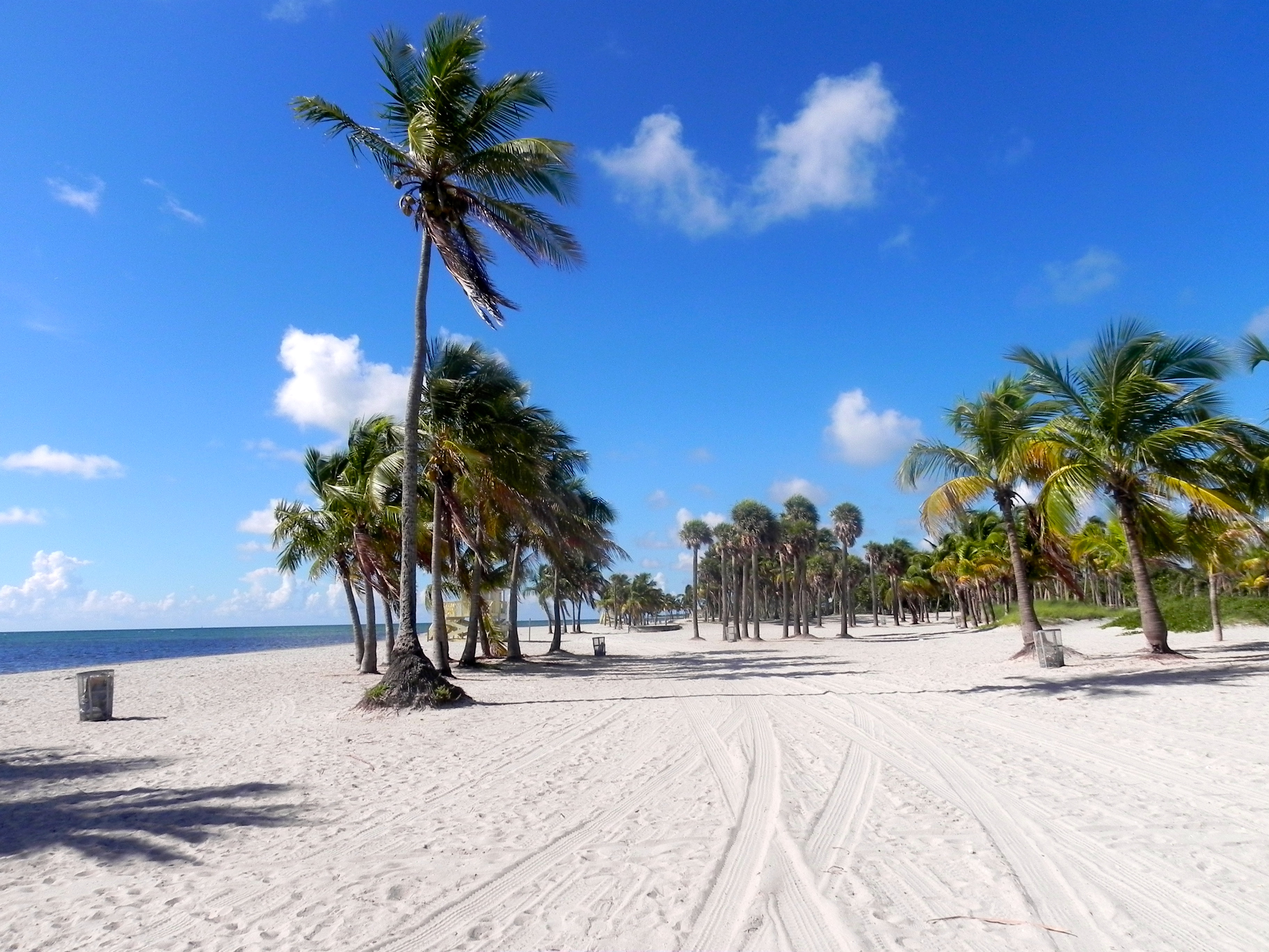 blog-miami