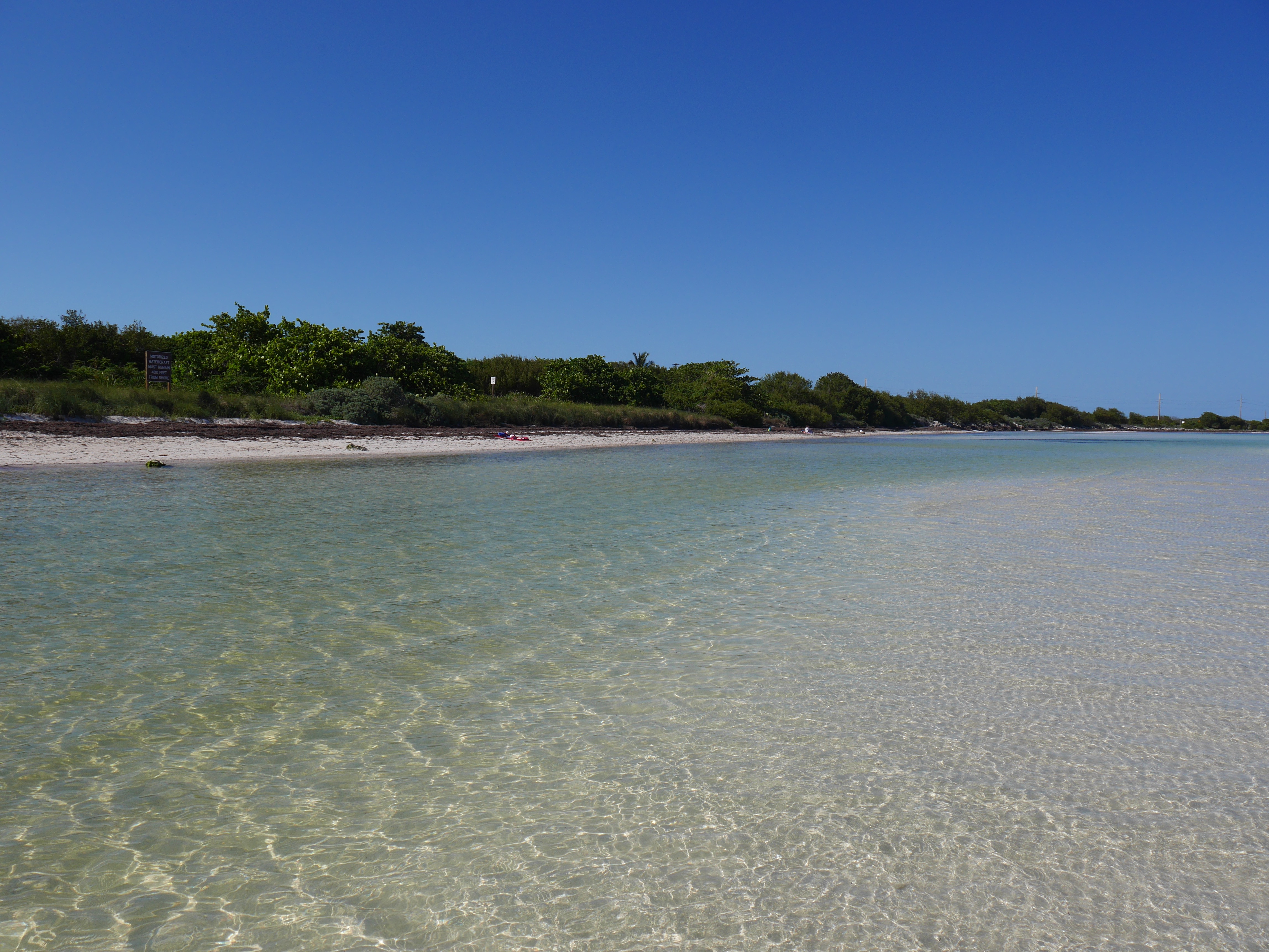 blog-miami