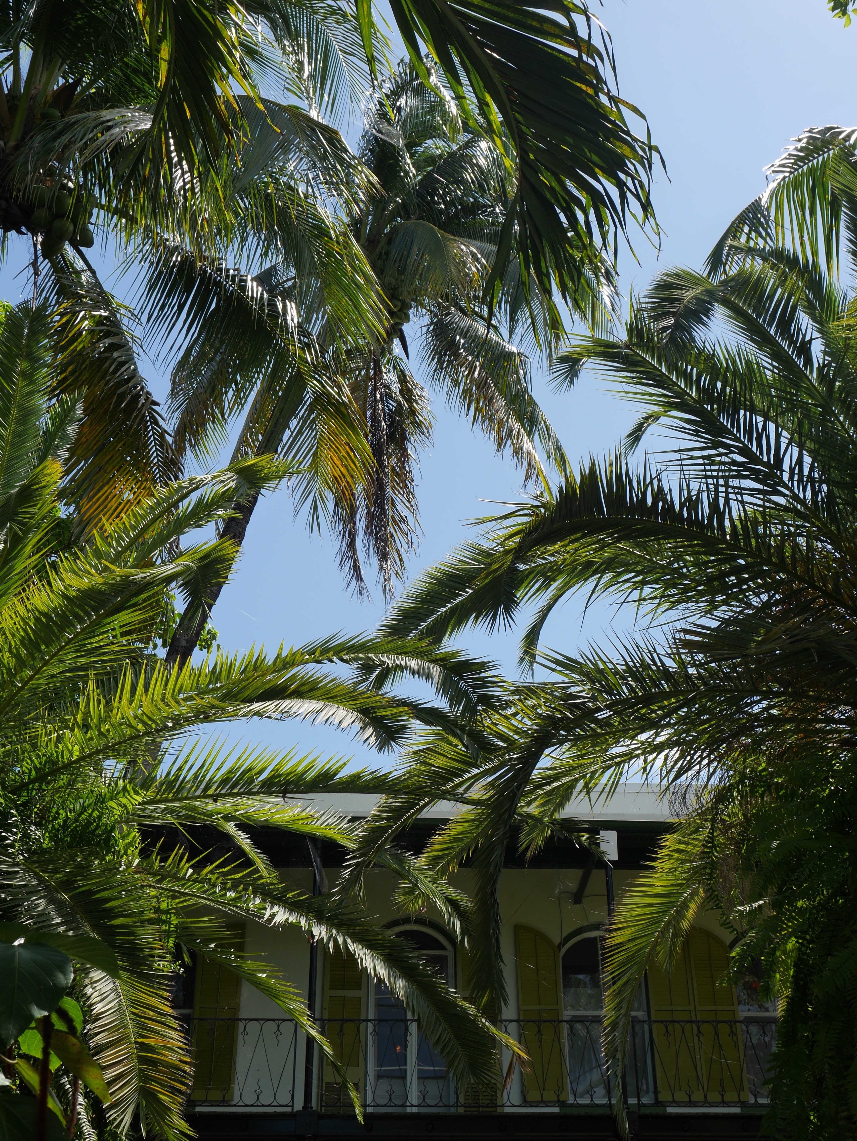 blog-miami