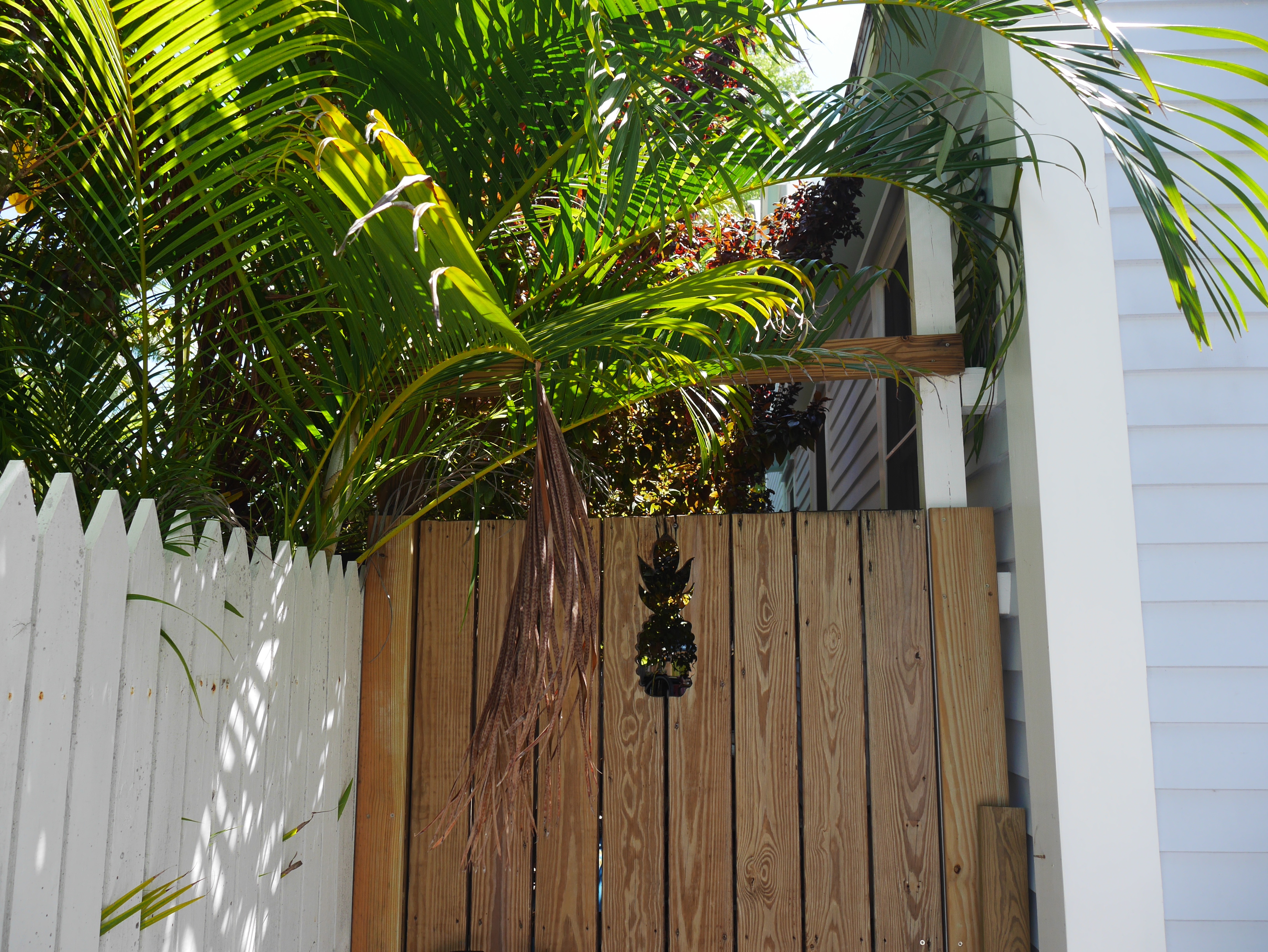 blog-miami