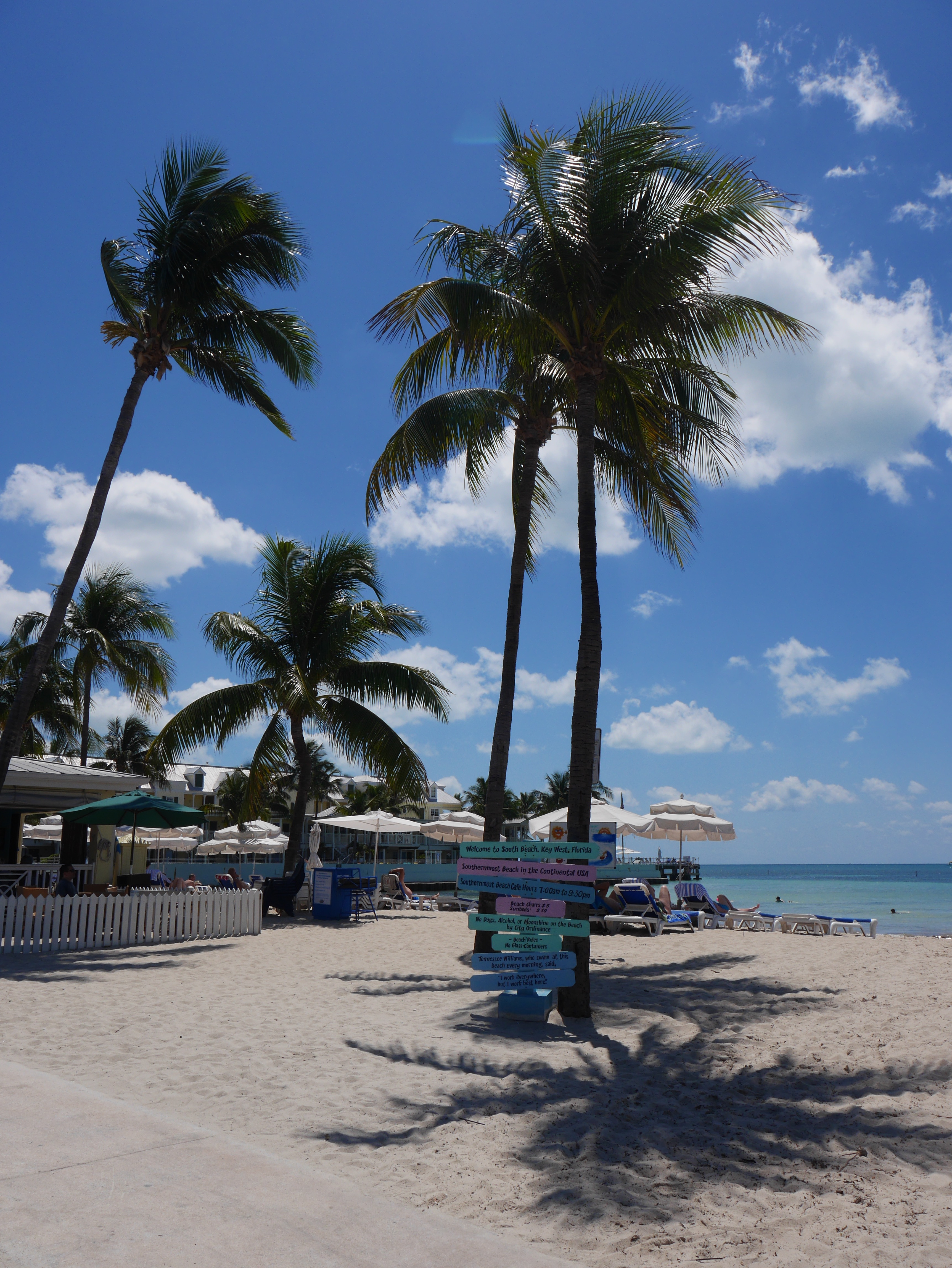 blog-miami