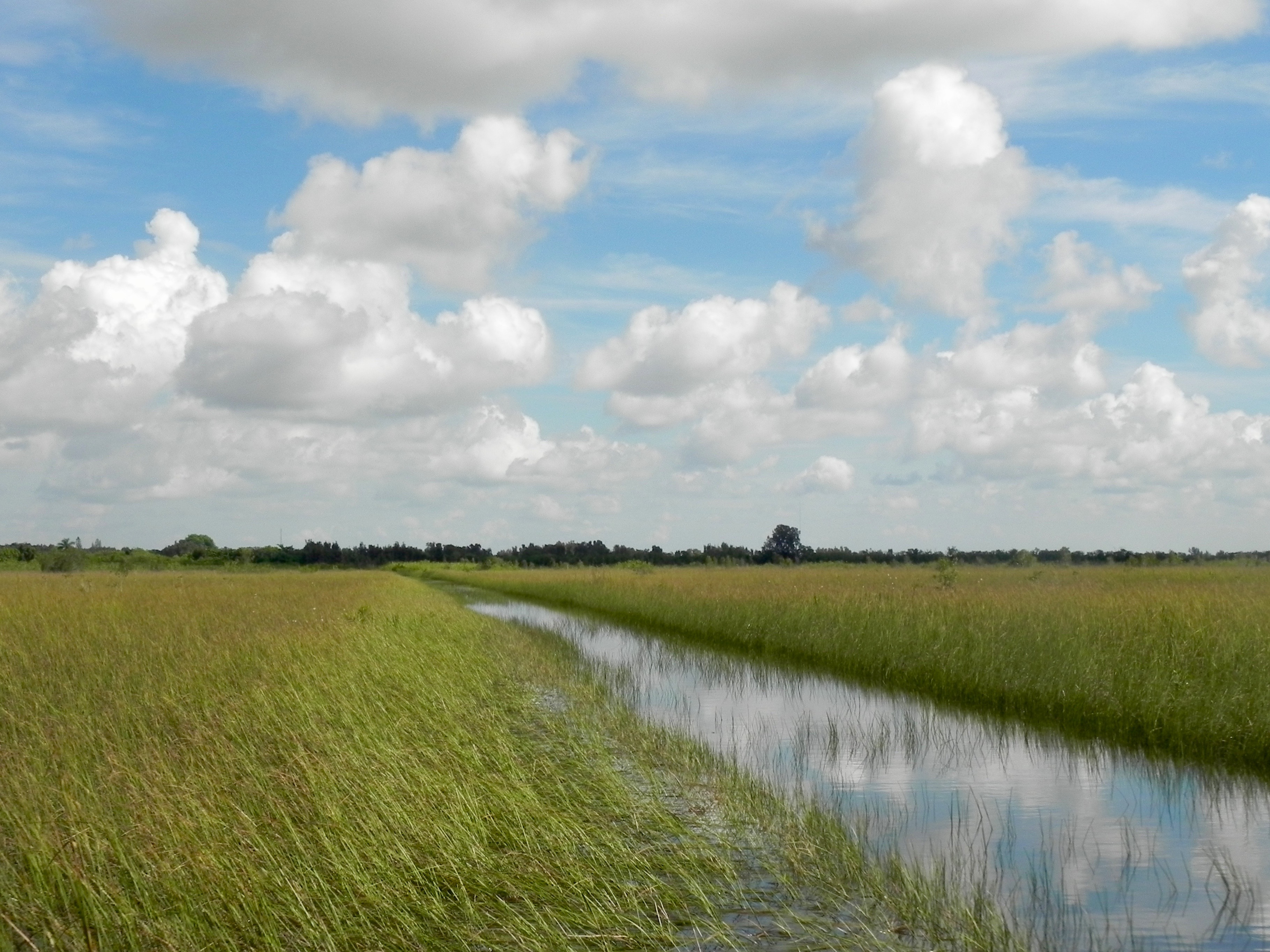 Blog-everglades-miami