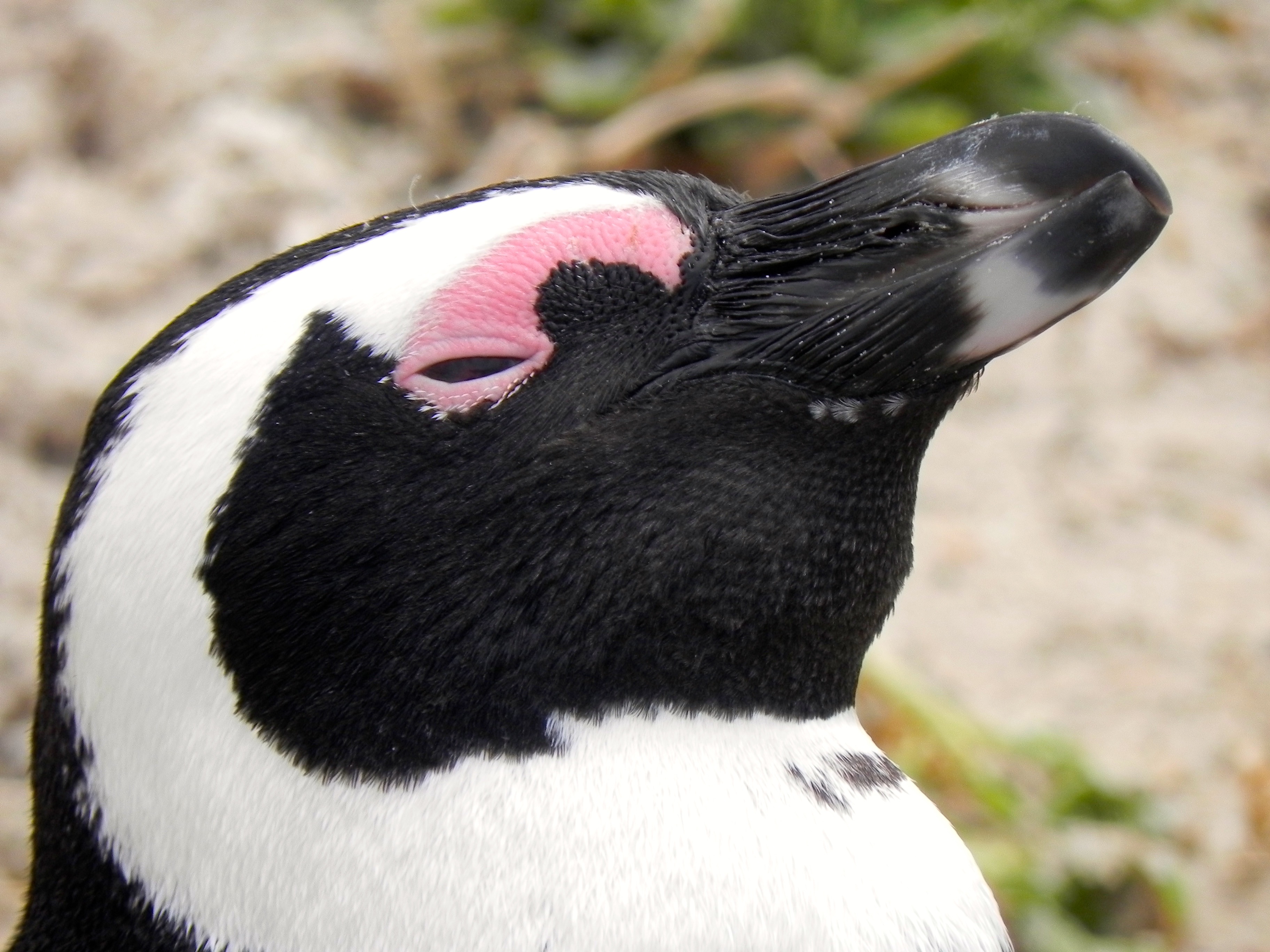 blog-voyage-capetown