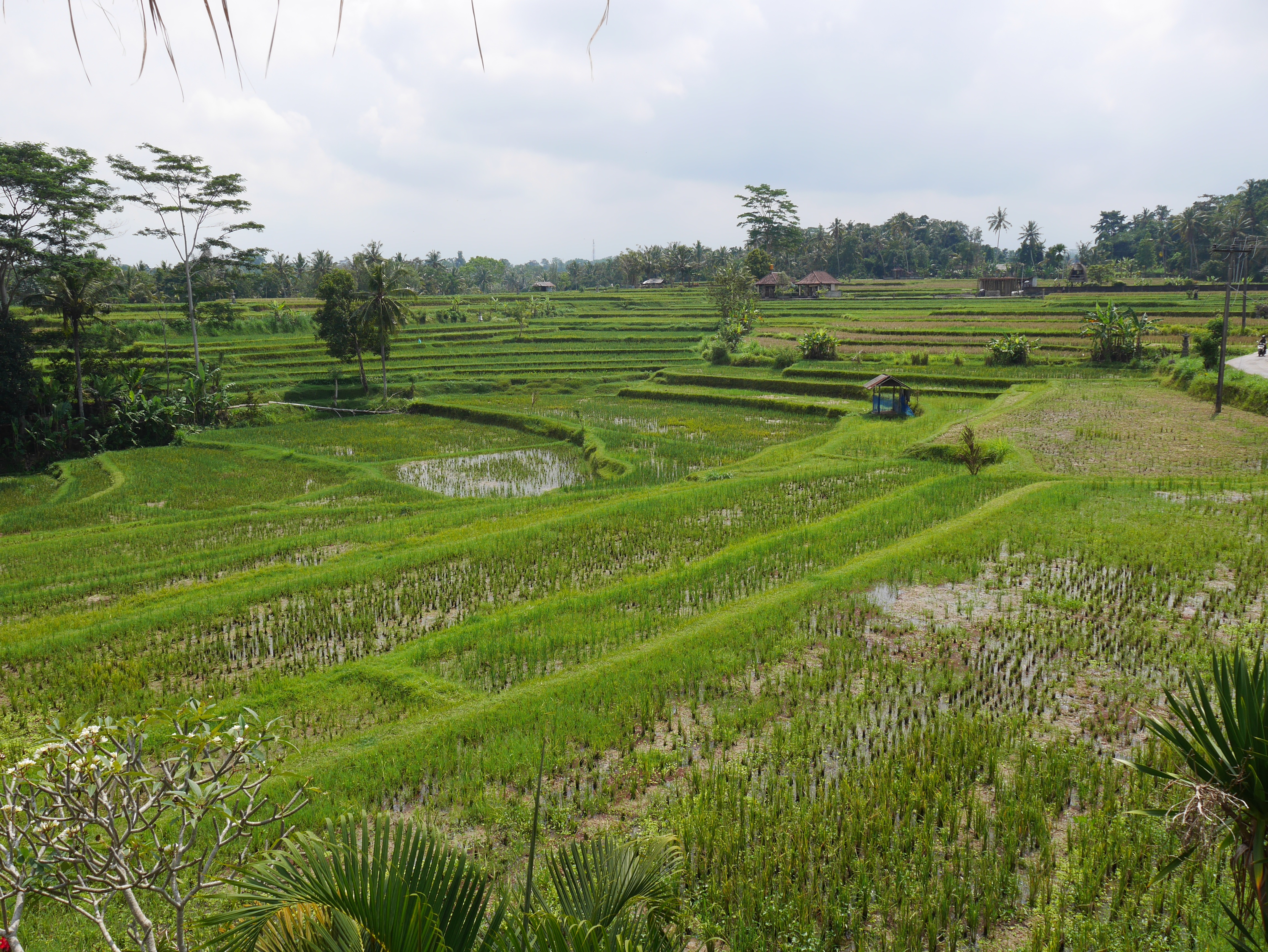 blog-voyage-Bali
