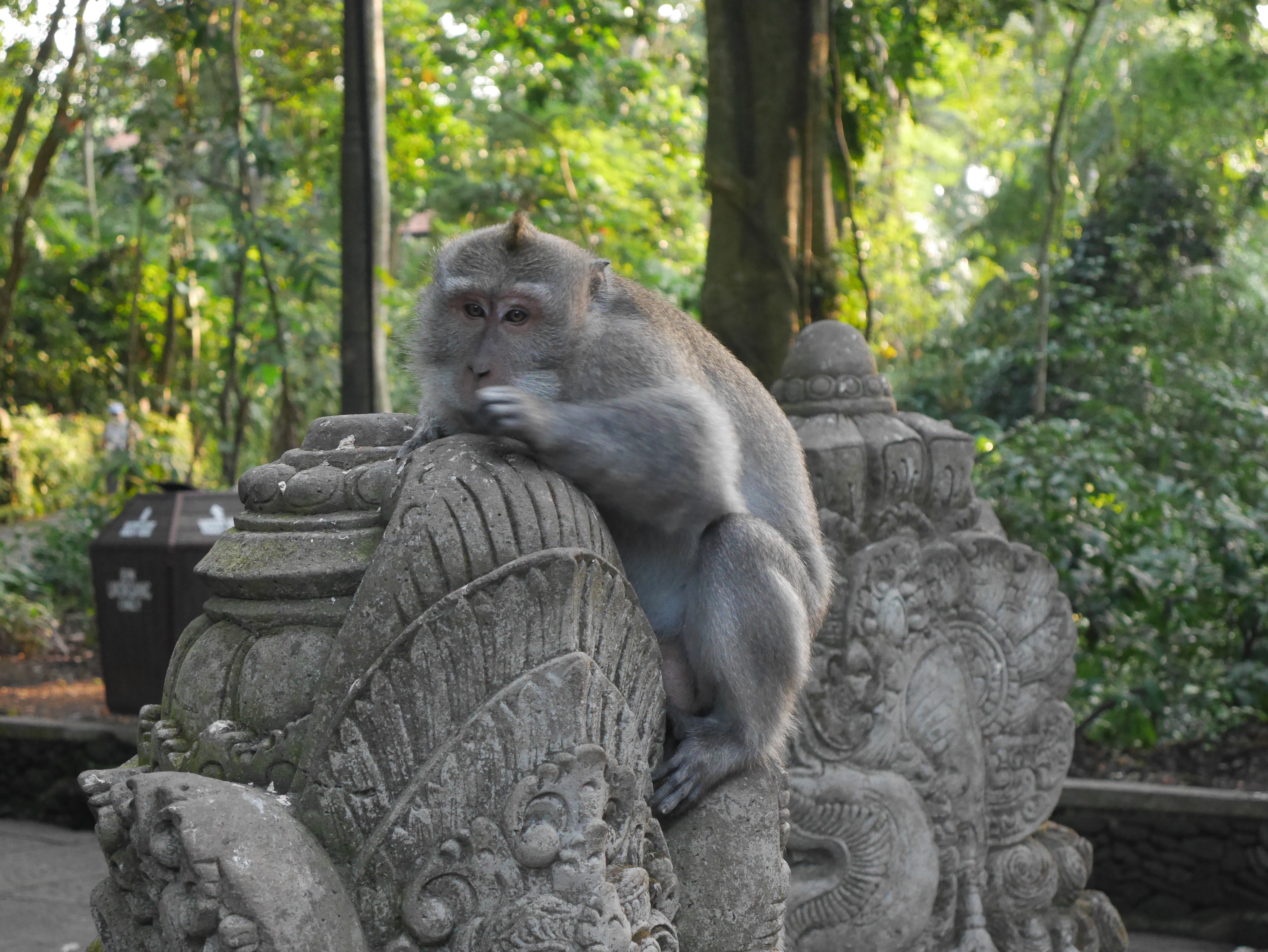 blog-voyage-Bali