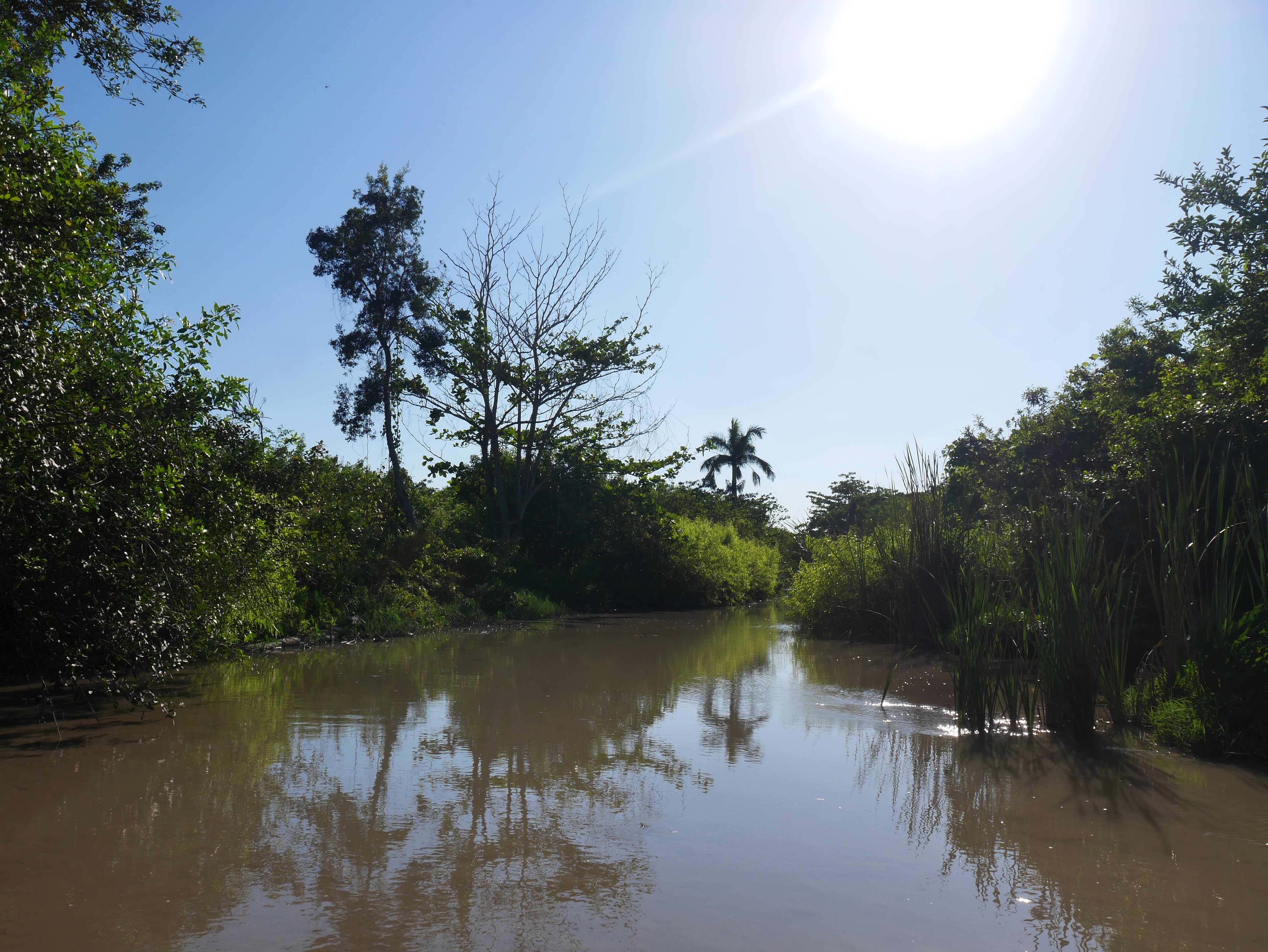 everglades-Miami