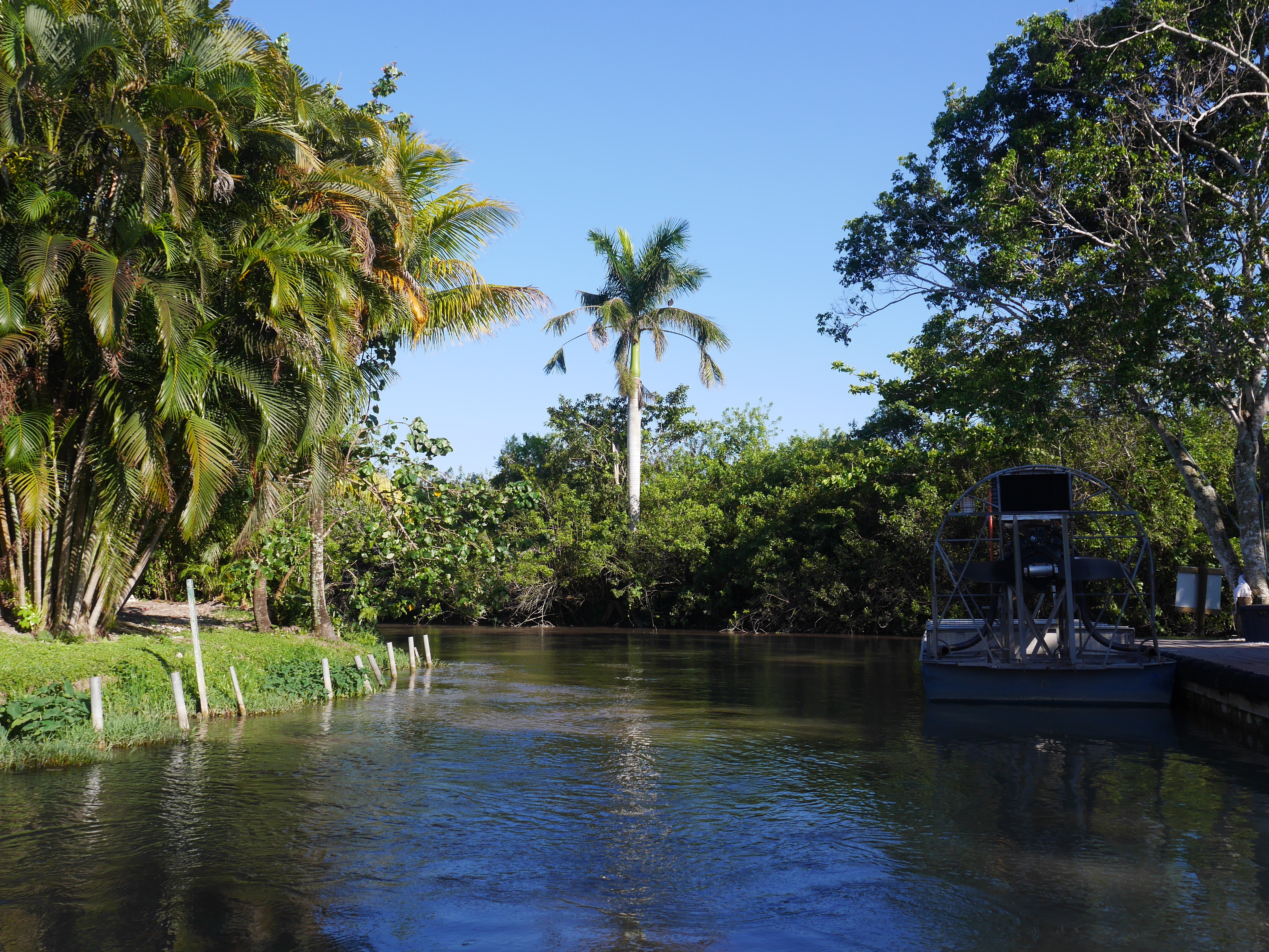 blog-miami