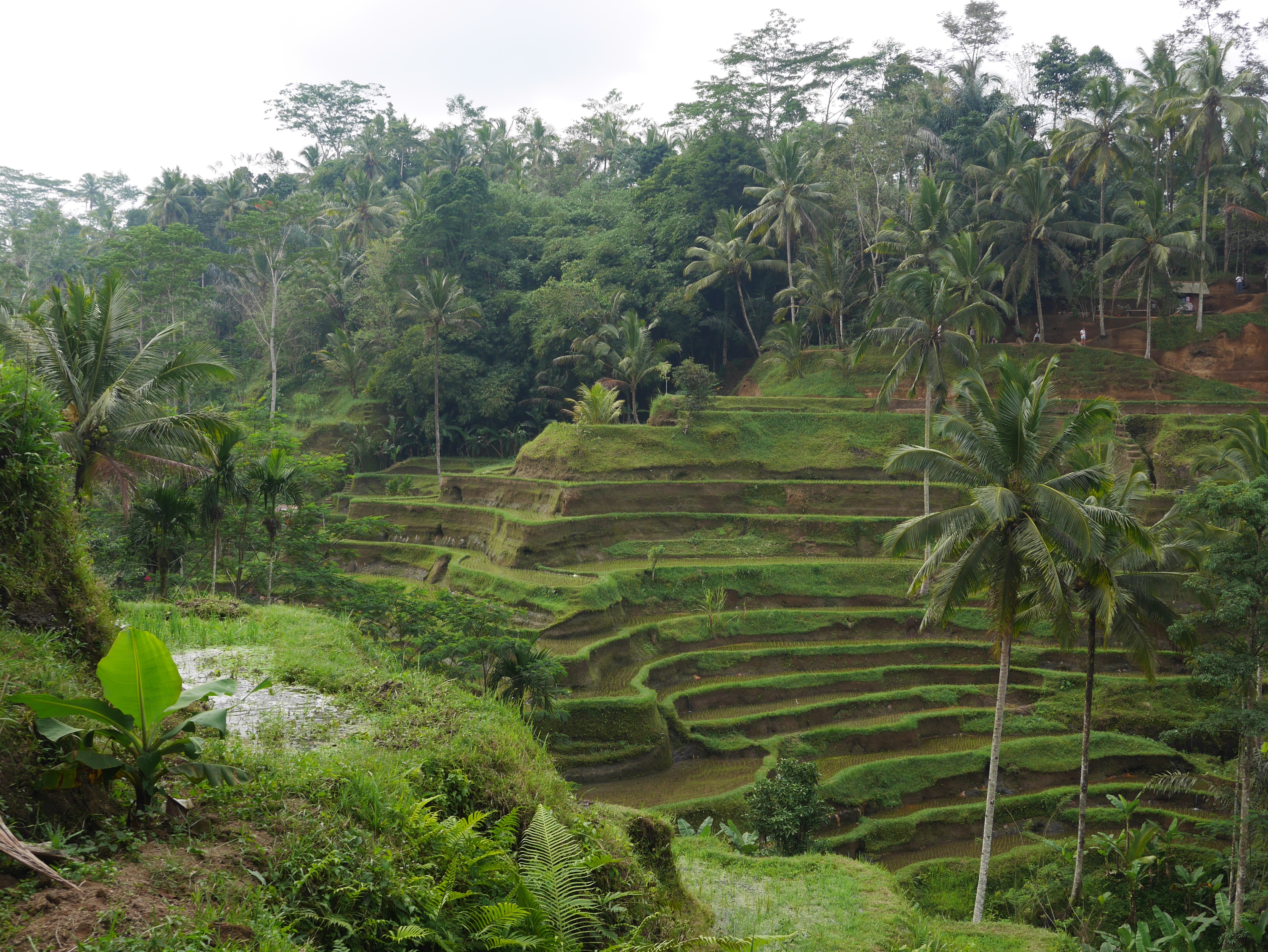 blog-voyage-Bali