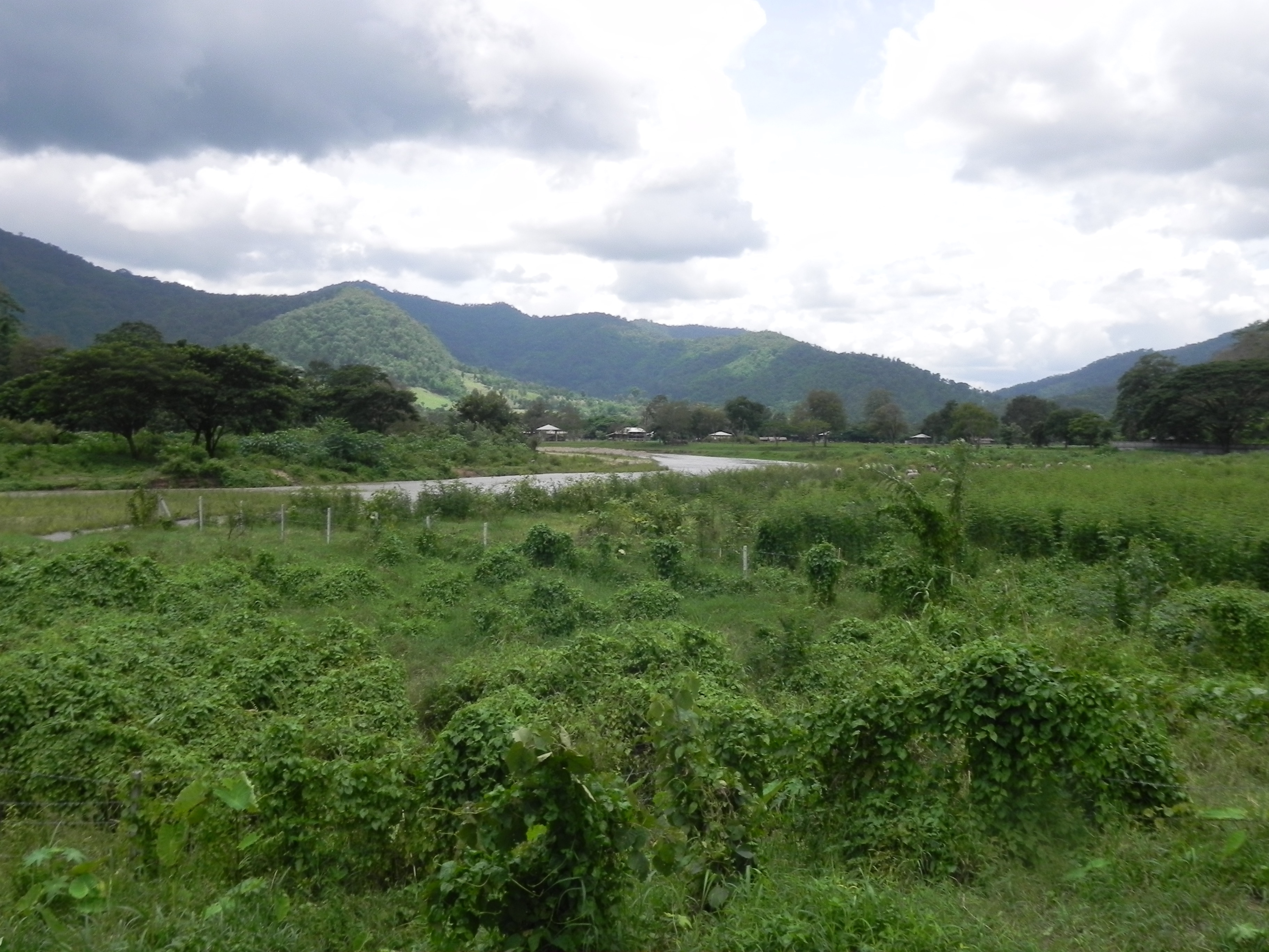 Chiangmai-trek