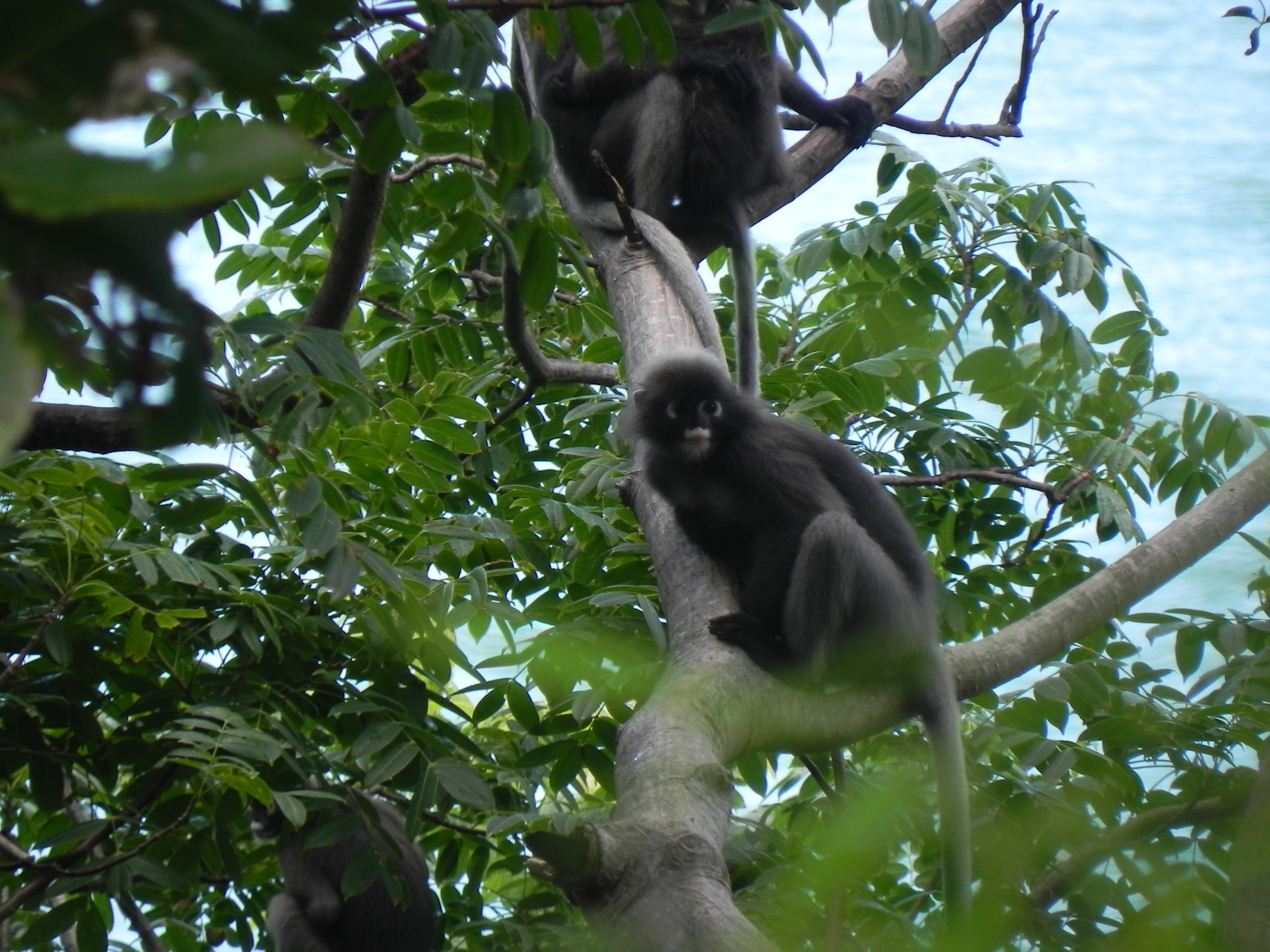 blog-voyage-thailande