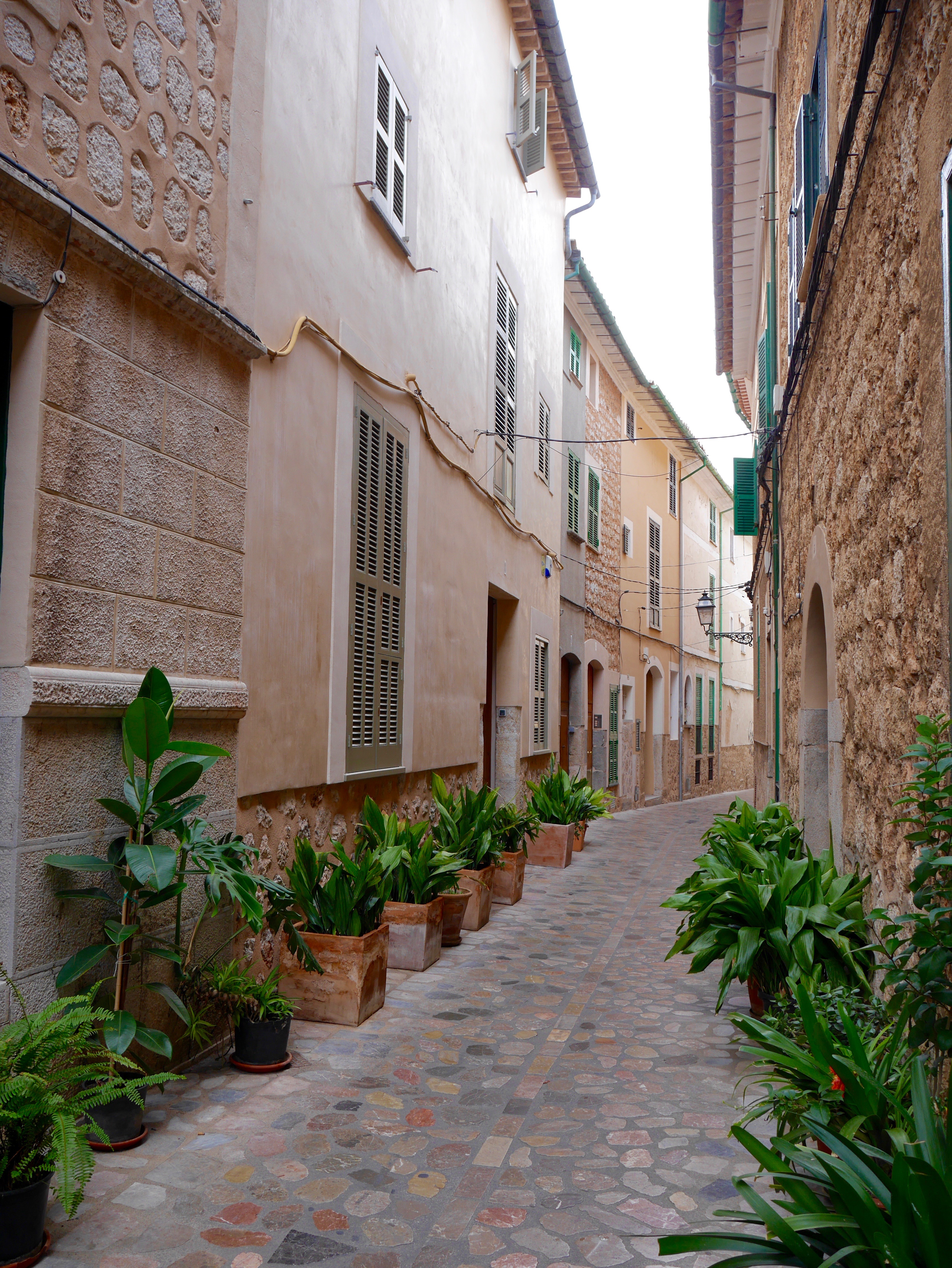 palma