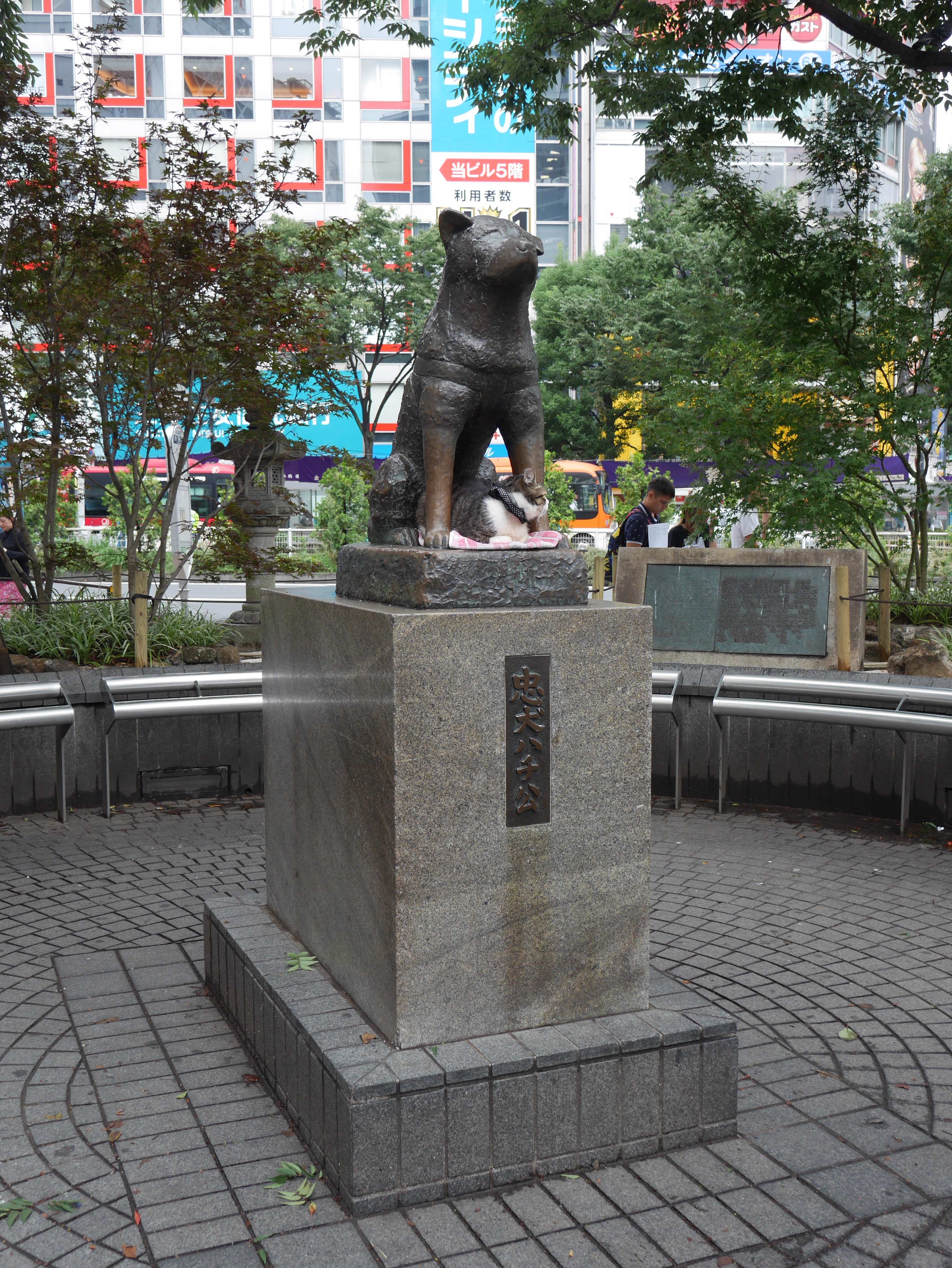 blog-voyage-tokyo