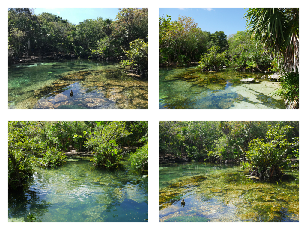 cenote-mexique