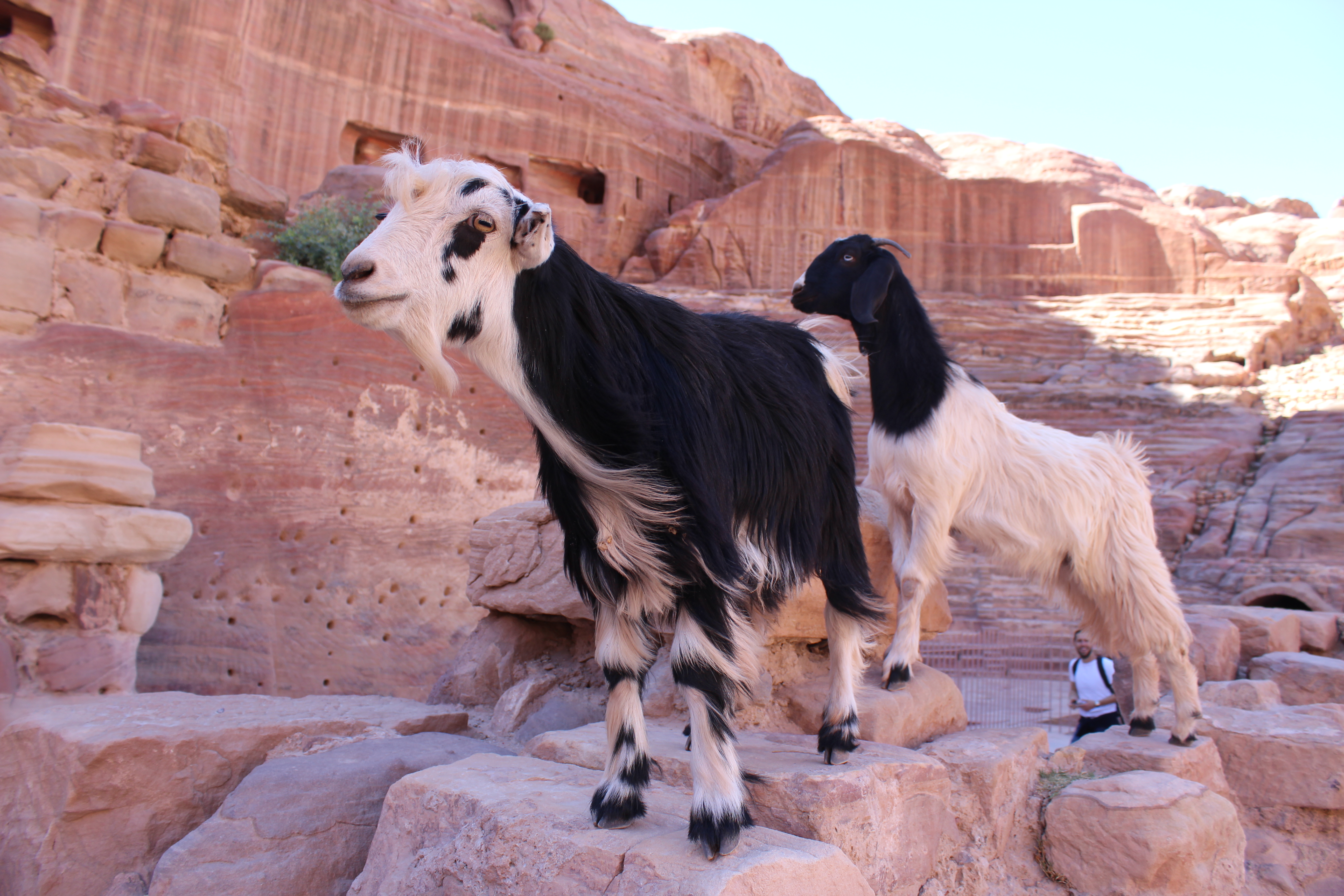 blog-voyage-jordanie