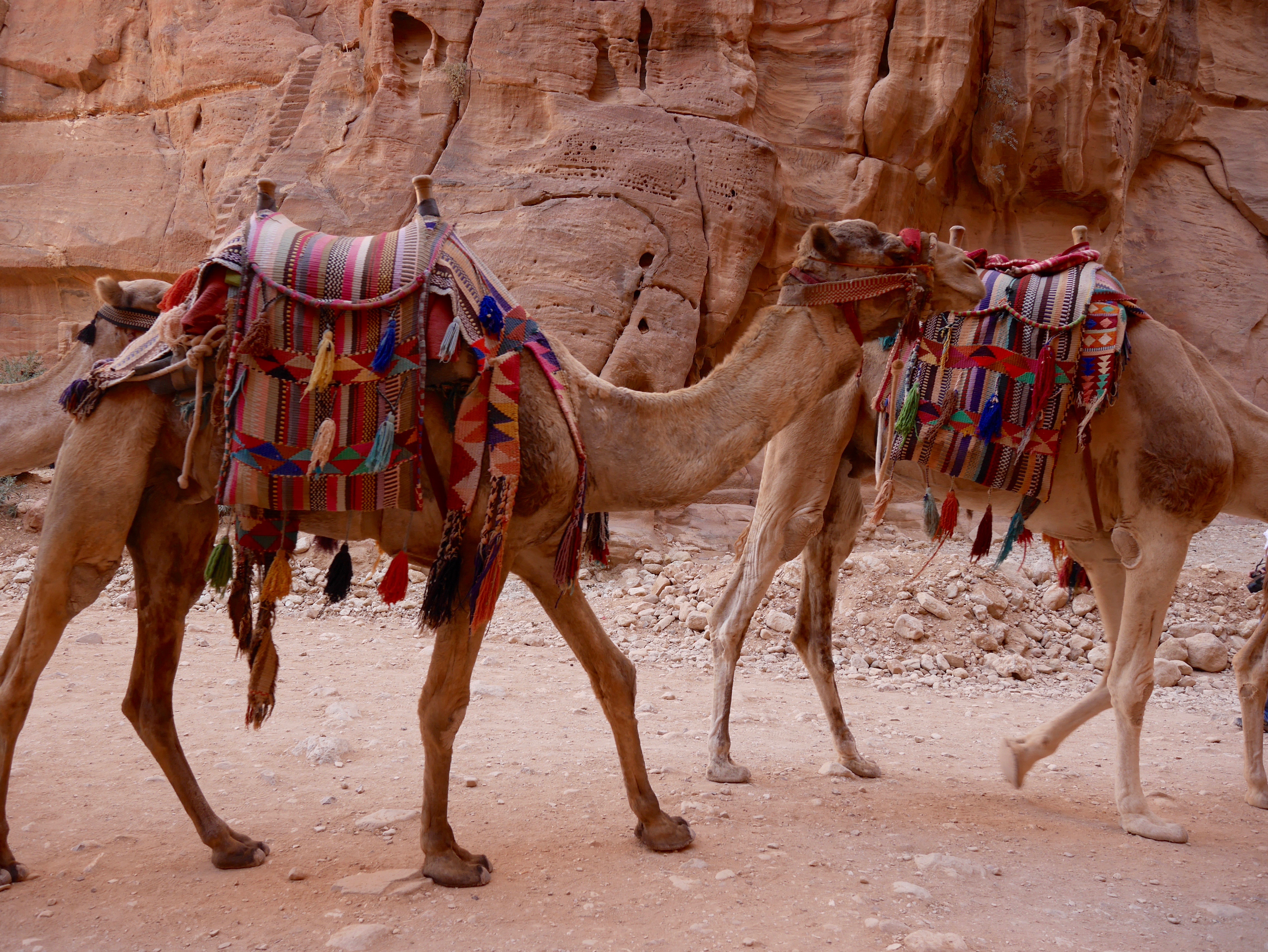blog-jordanie