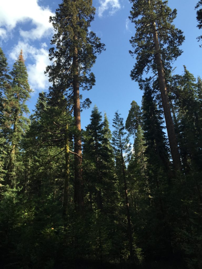 yosemite-vallée