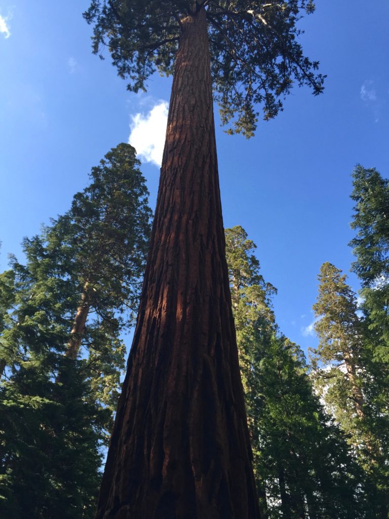 yosemite-vallée