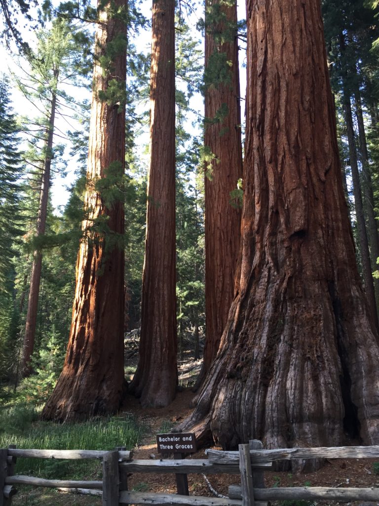 yosemite-vallée