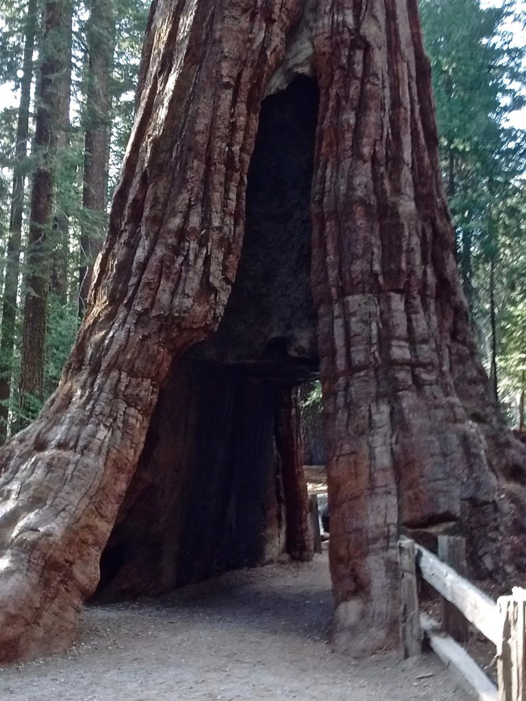 yosemite-vallée
