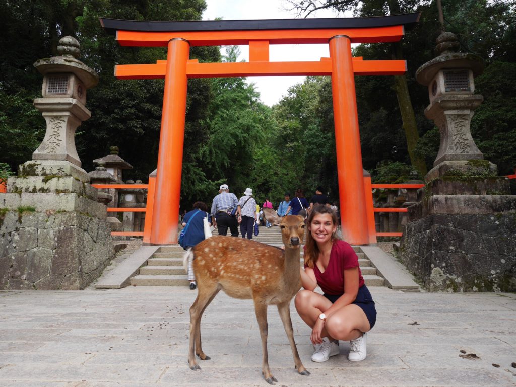 blog-nara-japon