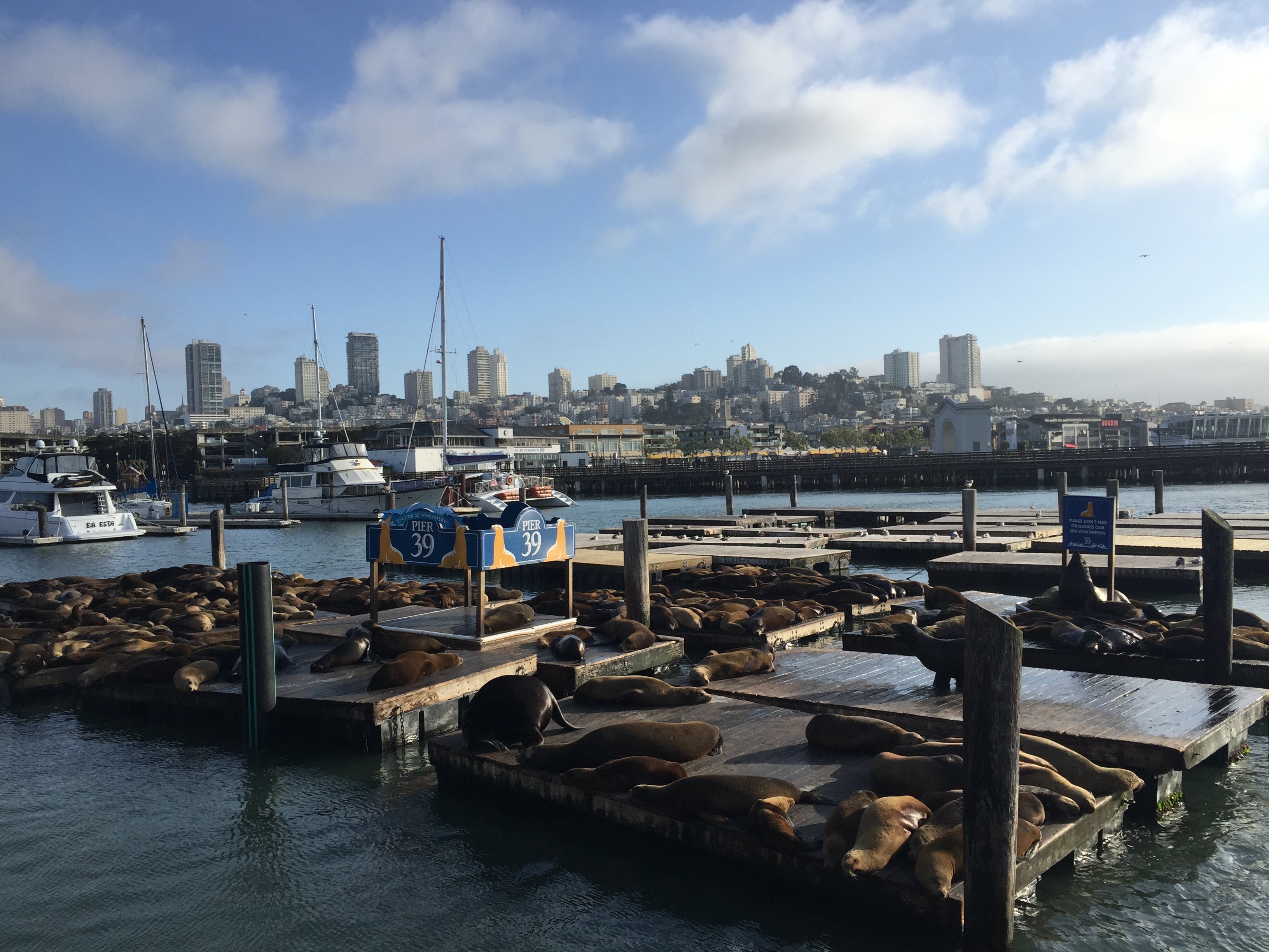 blog-voyage-san-francisco