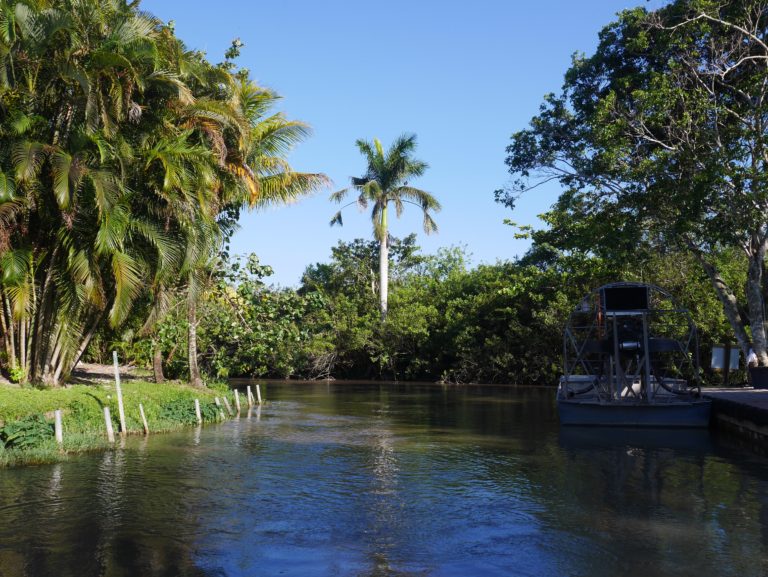 Miami – Everglades