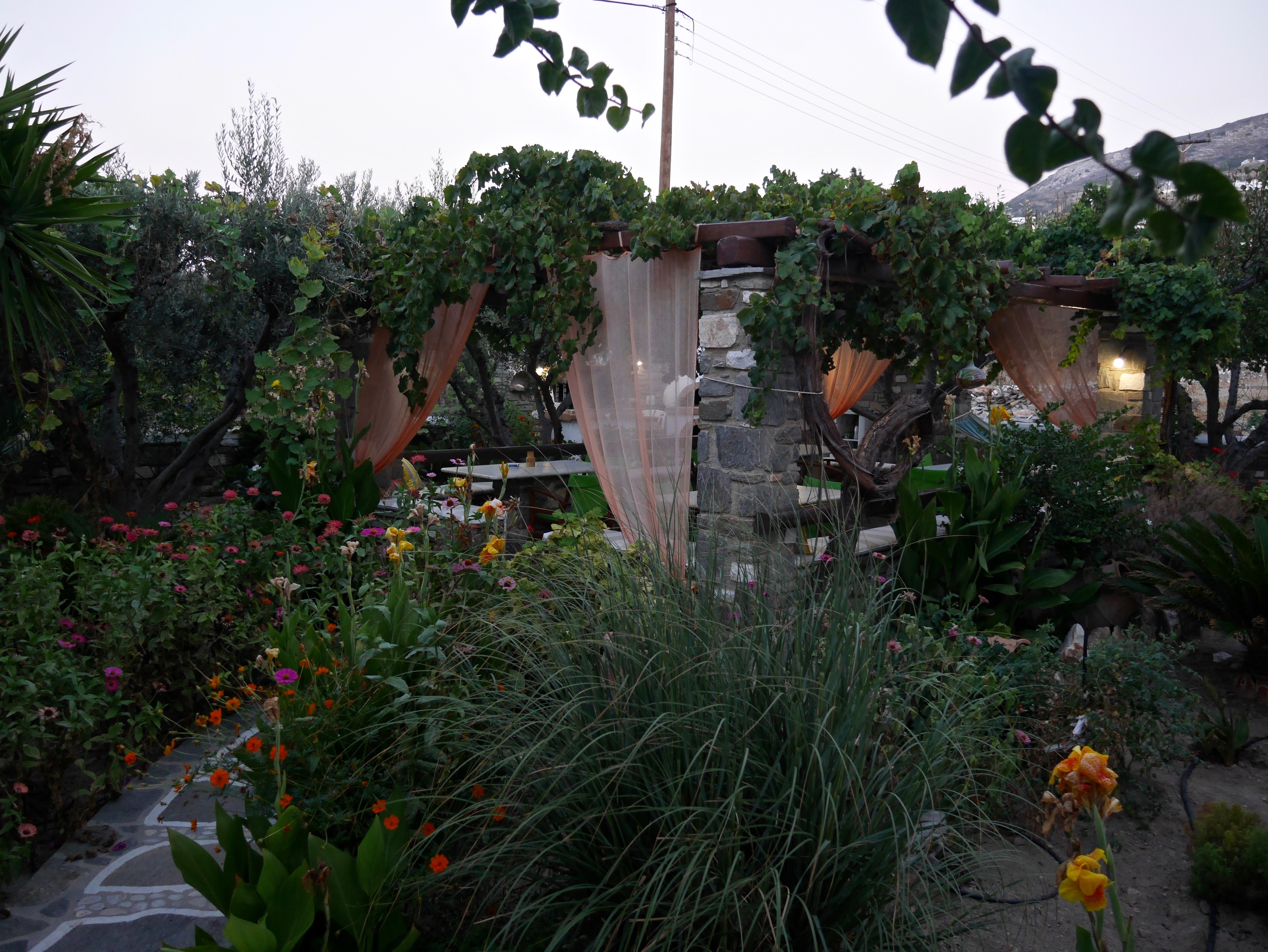 blog-paros