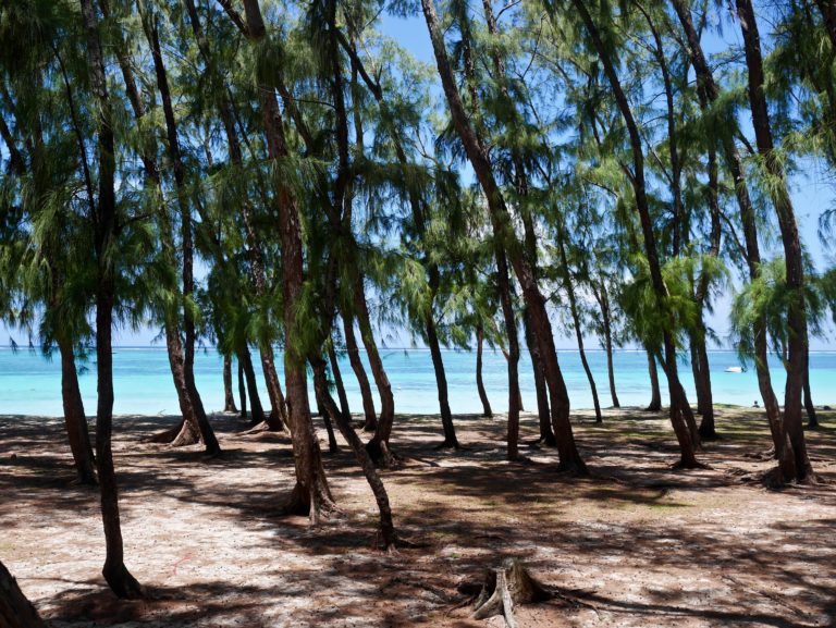 Île Maurice