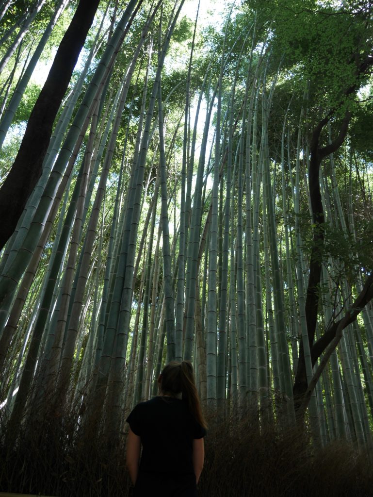 bambouseraie-arashiyama-kyoto