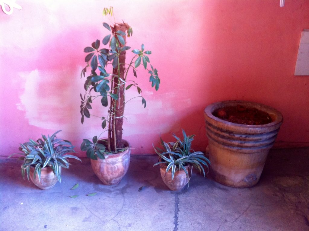 musée-rhum-cuba