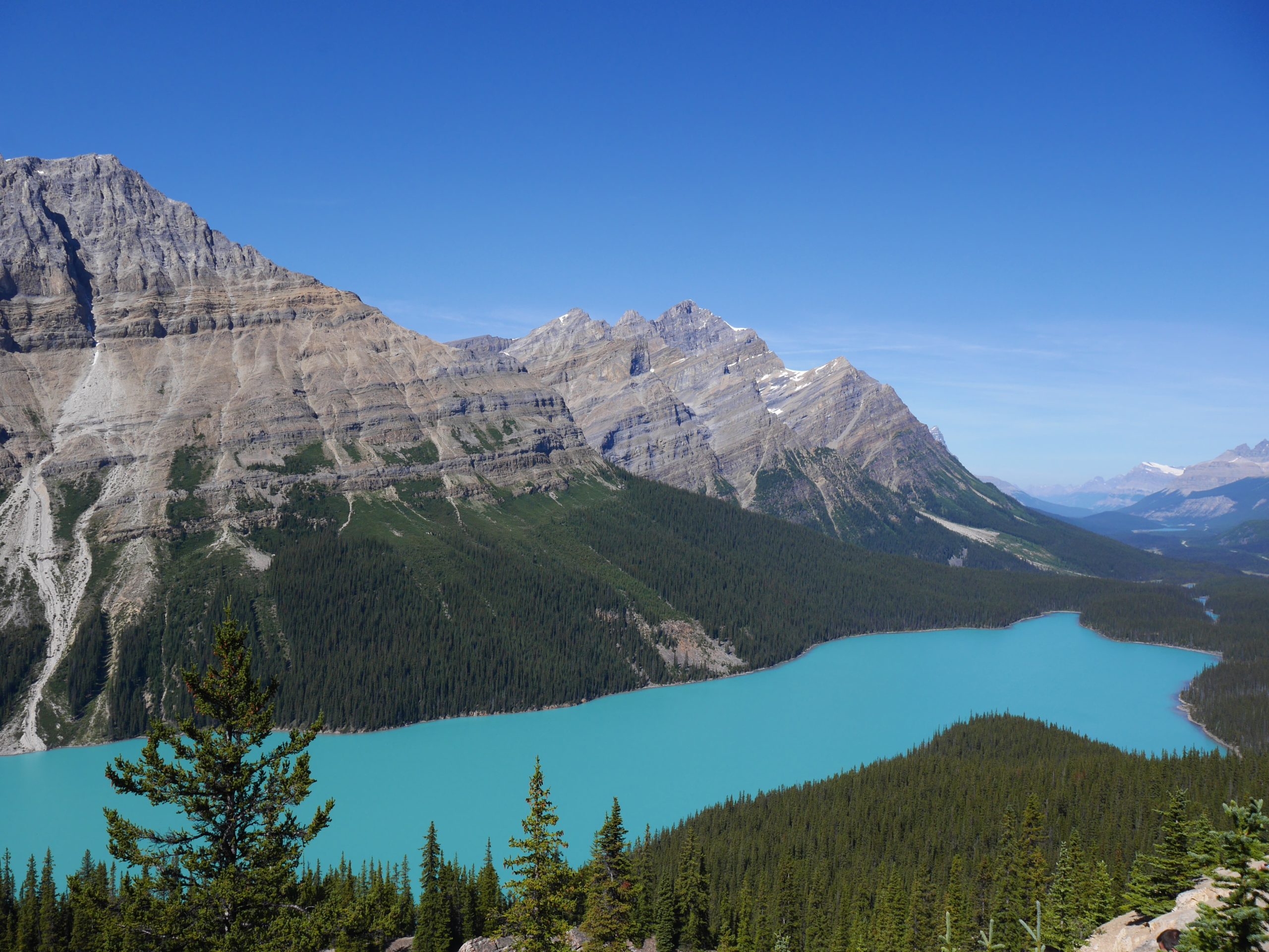Lac-peyto-banff