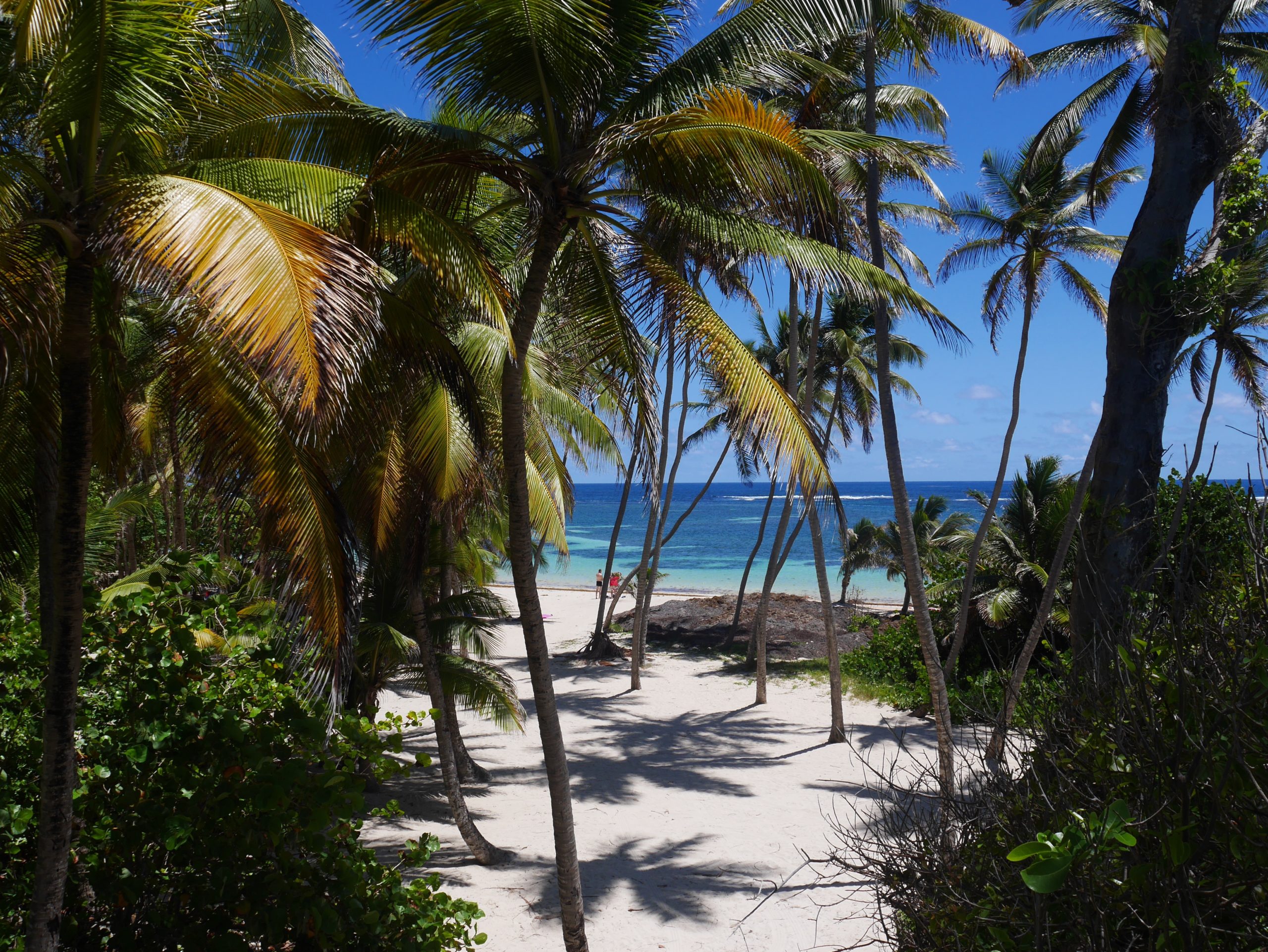 Anse-Michel-plage