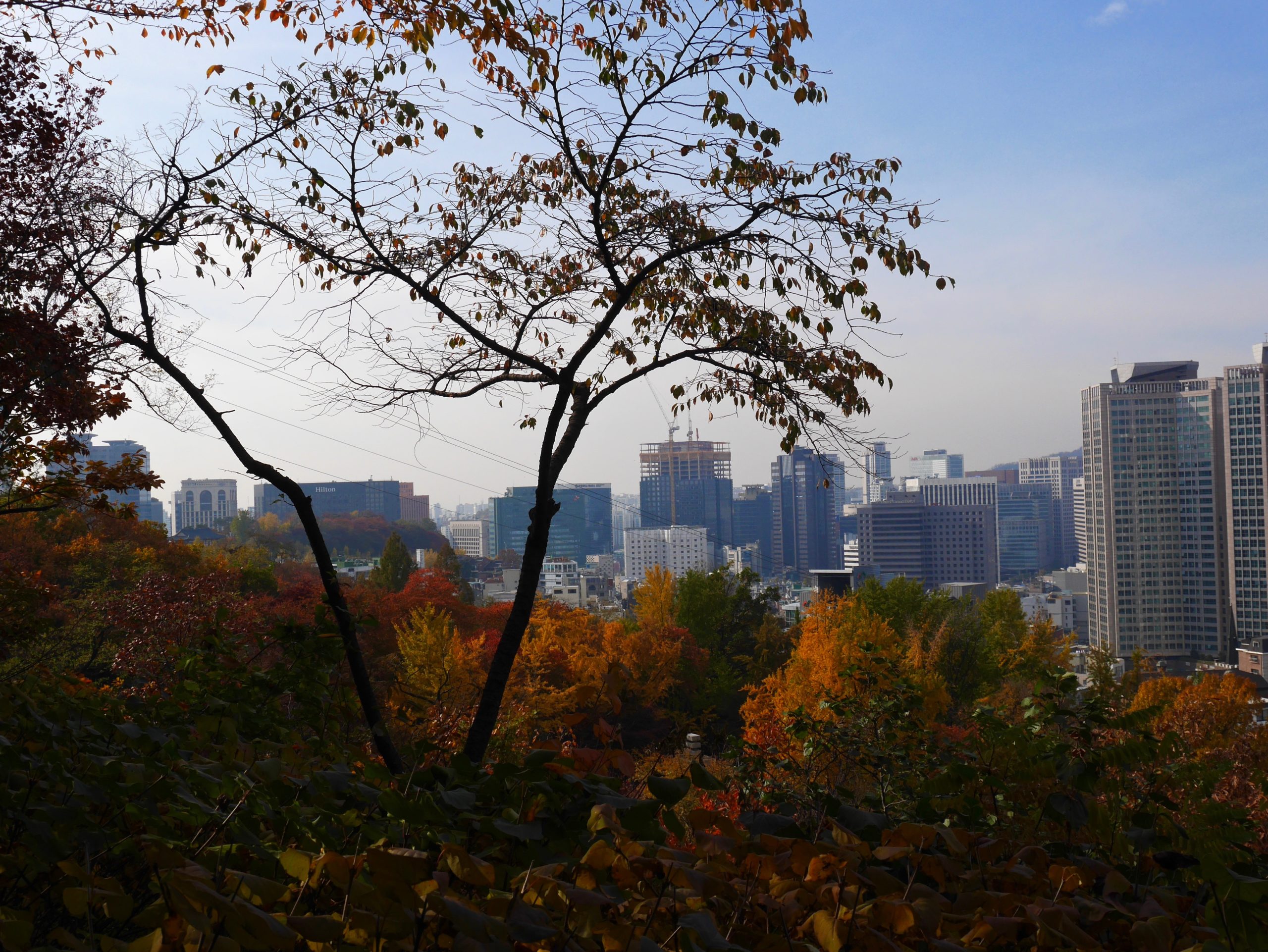 namsanpark