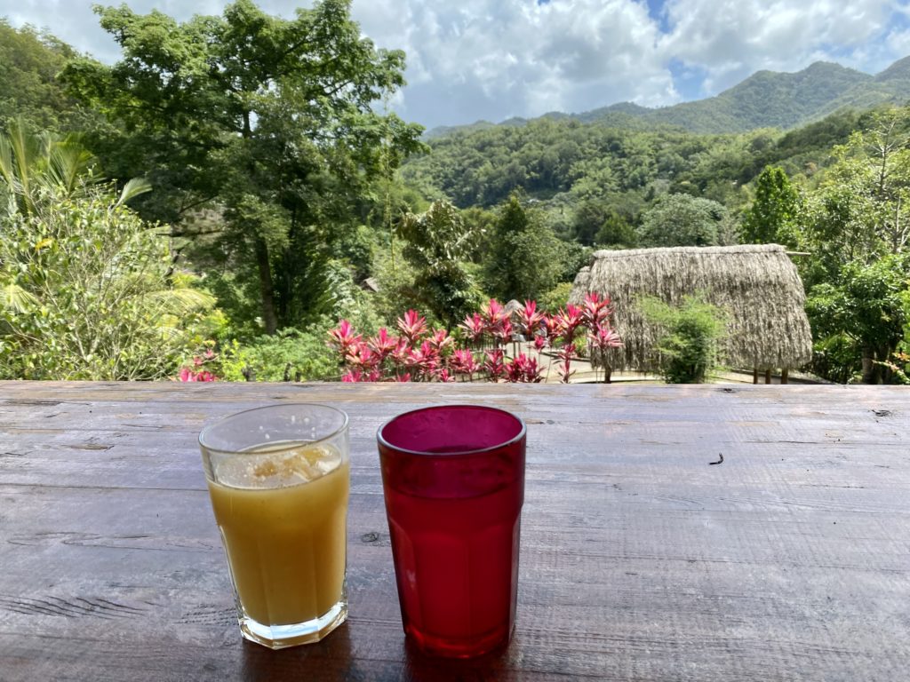 Savane des esclaves