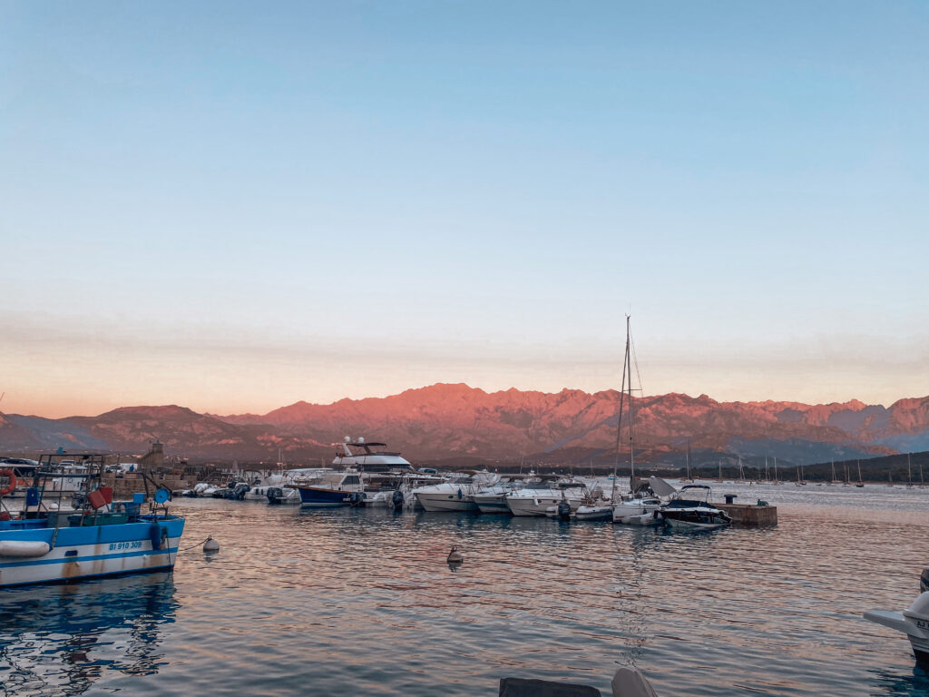 Calvi