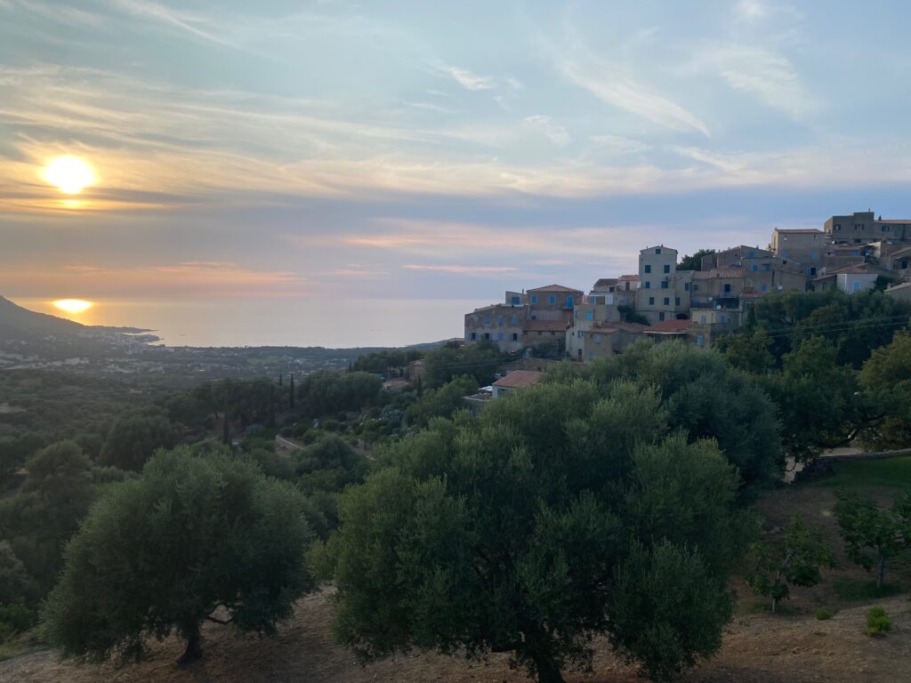 Pigna corse